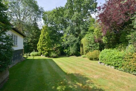garden 2.jpg