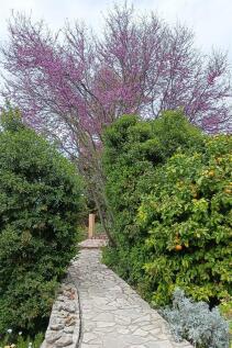 Property Image 102