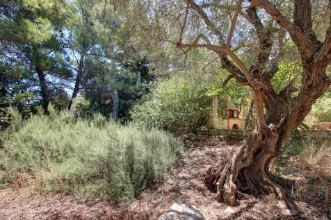 Property Image 94