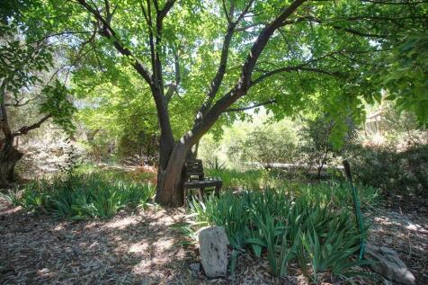Property Image 96