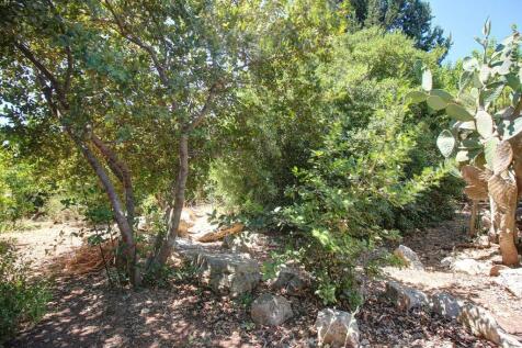 Property Image 99