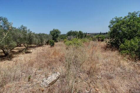 Property Image 100