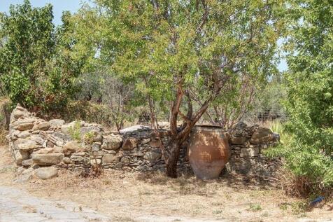 Property Image 65