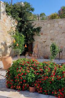 Property Image 56