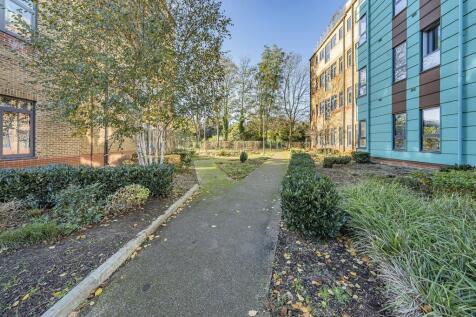 Photo Nov 21 2025...