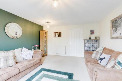 IMG_6561-IMG_6565 copy.jpg