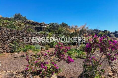 Property Image 66