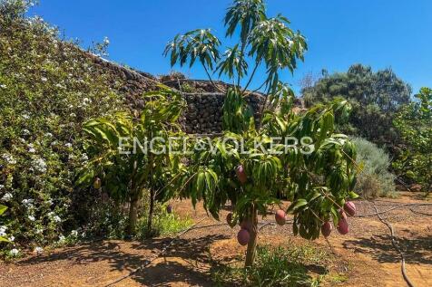 Property Image 65