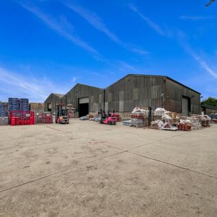 Industrial Warehouse and Forklifts in Action.png