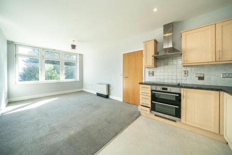 Kitchen/Living /Dining Room