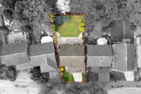68-Long-Fallow-Drone-4.jpg