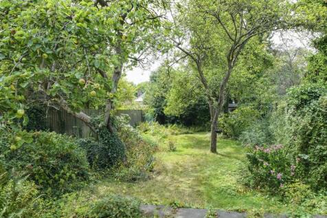 Garden.jpg