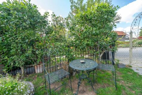 Garden 6