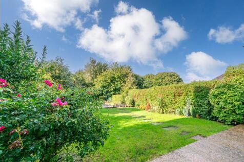 Garden 6