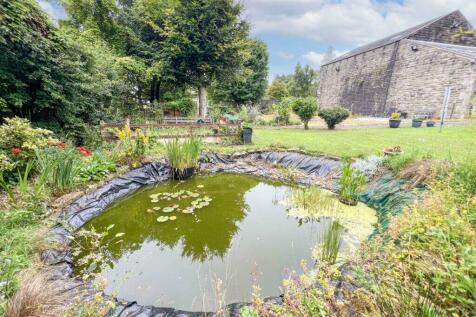 Property Image 60