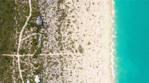 Bird&#39;s Eye View