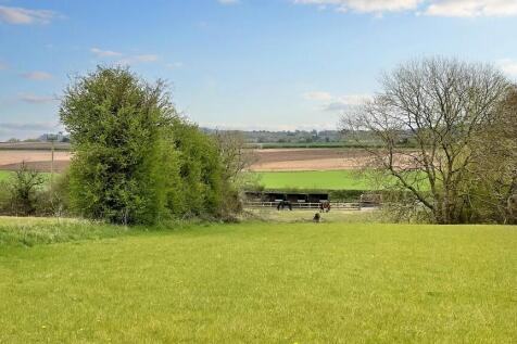 Grazing land