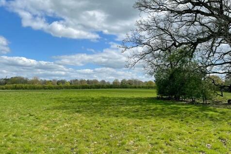 Paddock land.