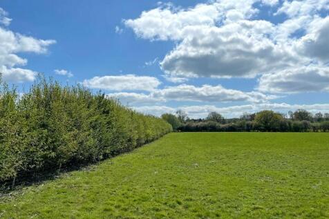 Flat grazing land.