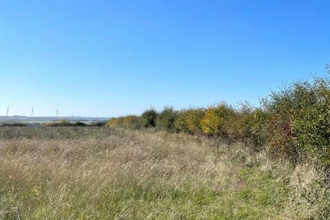 Flat pasture land.