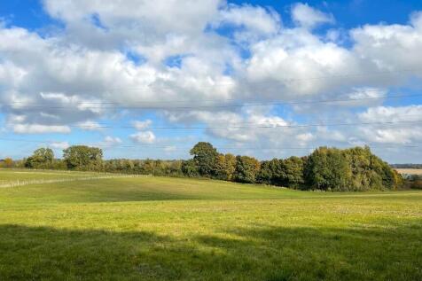 Pasture land.