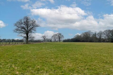 Flat pasture land.