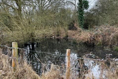 Charming pond.