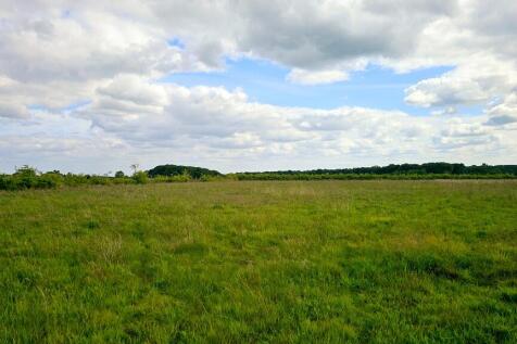 Flat pasture land.
