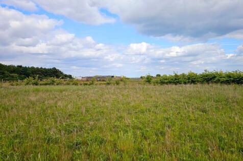 Ideal smallholding.
