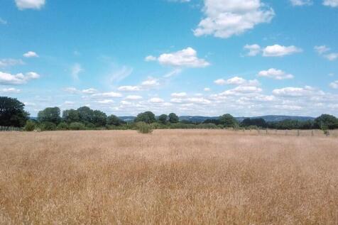 Flat pasture land.