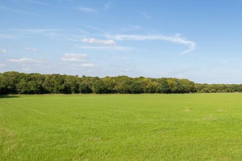 Flat pasture land.