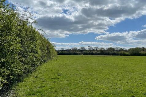 Flat pasture land.