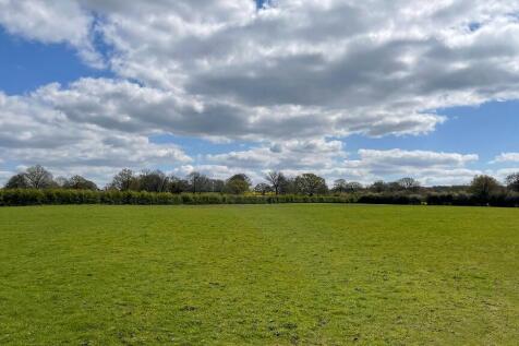 Flat grazing land.