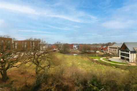 IMG_2258-Edit-Edit.jpg
