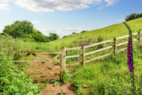 Paddock to rent