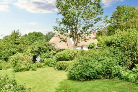 Rear gardens