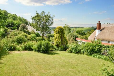Rear gardens