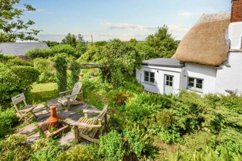 Rear gardens