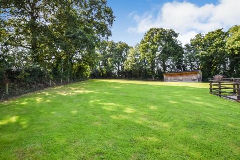 Paddock/stables