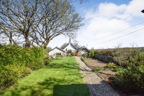 Lovely garden