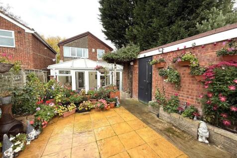 6 SWALLOW REAR 2.jpeg