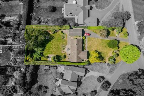 DJI_0984.jpg