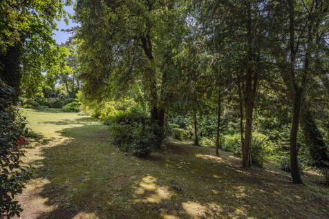 Property Image 46