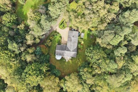 aerial shot