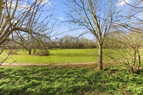 View from garden .jpg