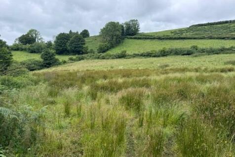 landphoto2.jpg