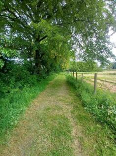 IMG_7199.jpeg