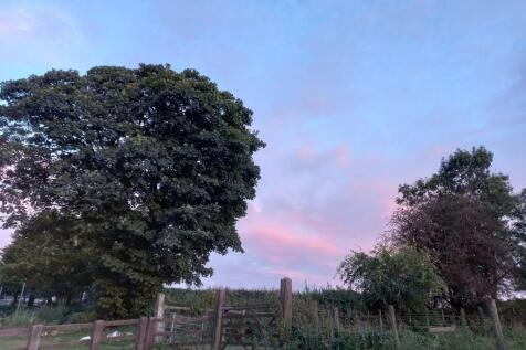 IMG_7212.jpeg