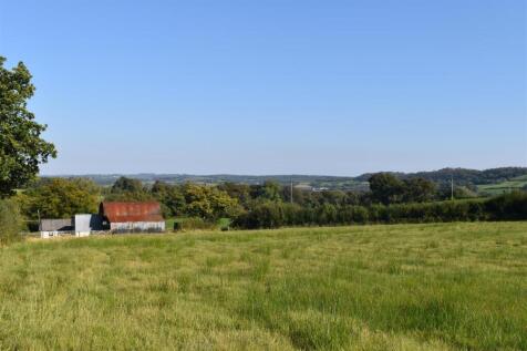 DSC_0707.JPG