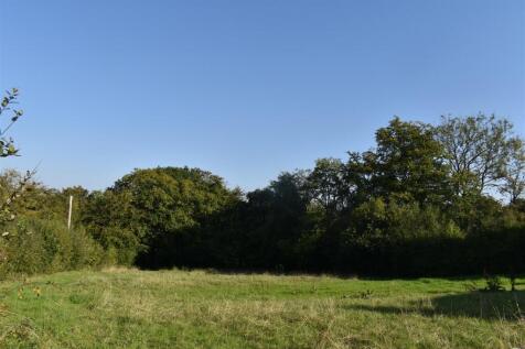 DSC_0723.JPG
